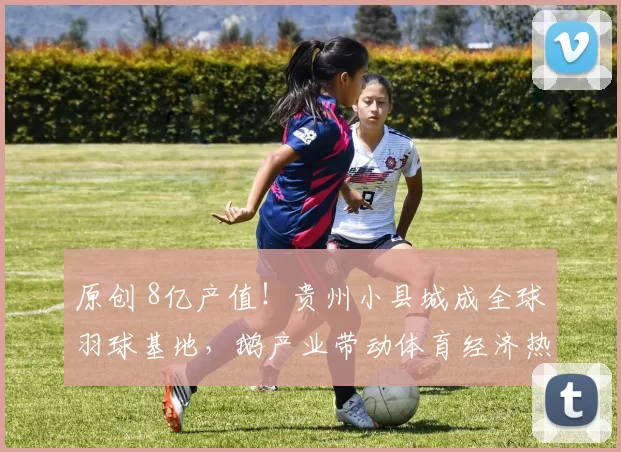 原创 8亿产值！贵州小县城成全球羽球基地，鹅产业带动体育经济热