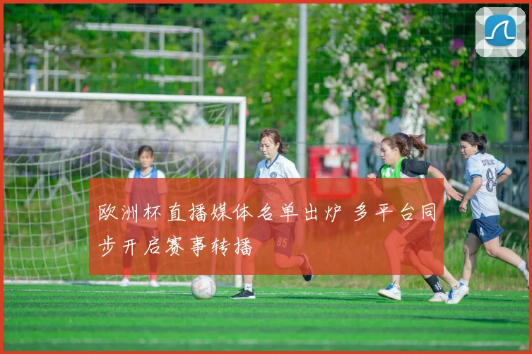 欧洲杯直播媒体名单出炉 多平台同步开启赛事转播