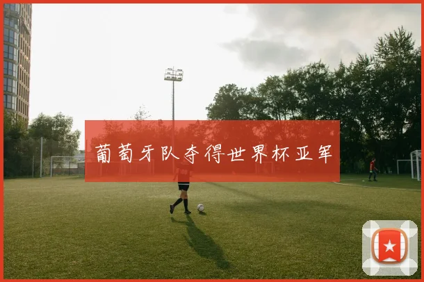 葡萄牙队夺得世界杯亚军
